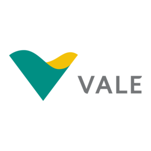 Crachá da Vale de Diego Pereira